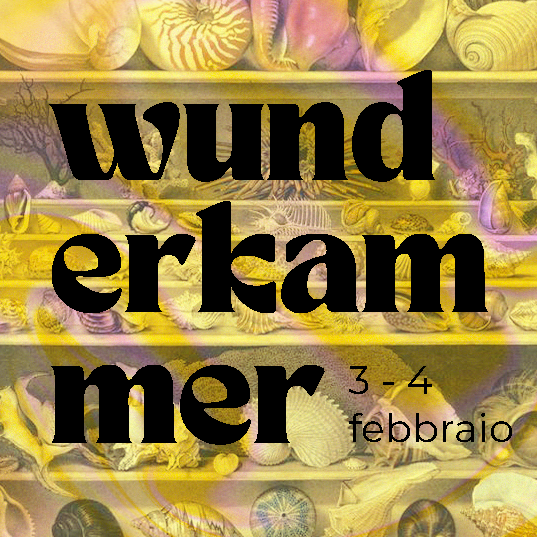 Wunderkammer. Esposizione di mirabilia quotidiane